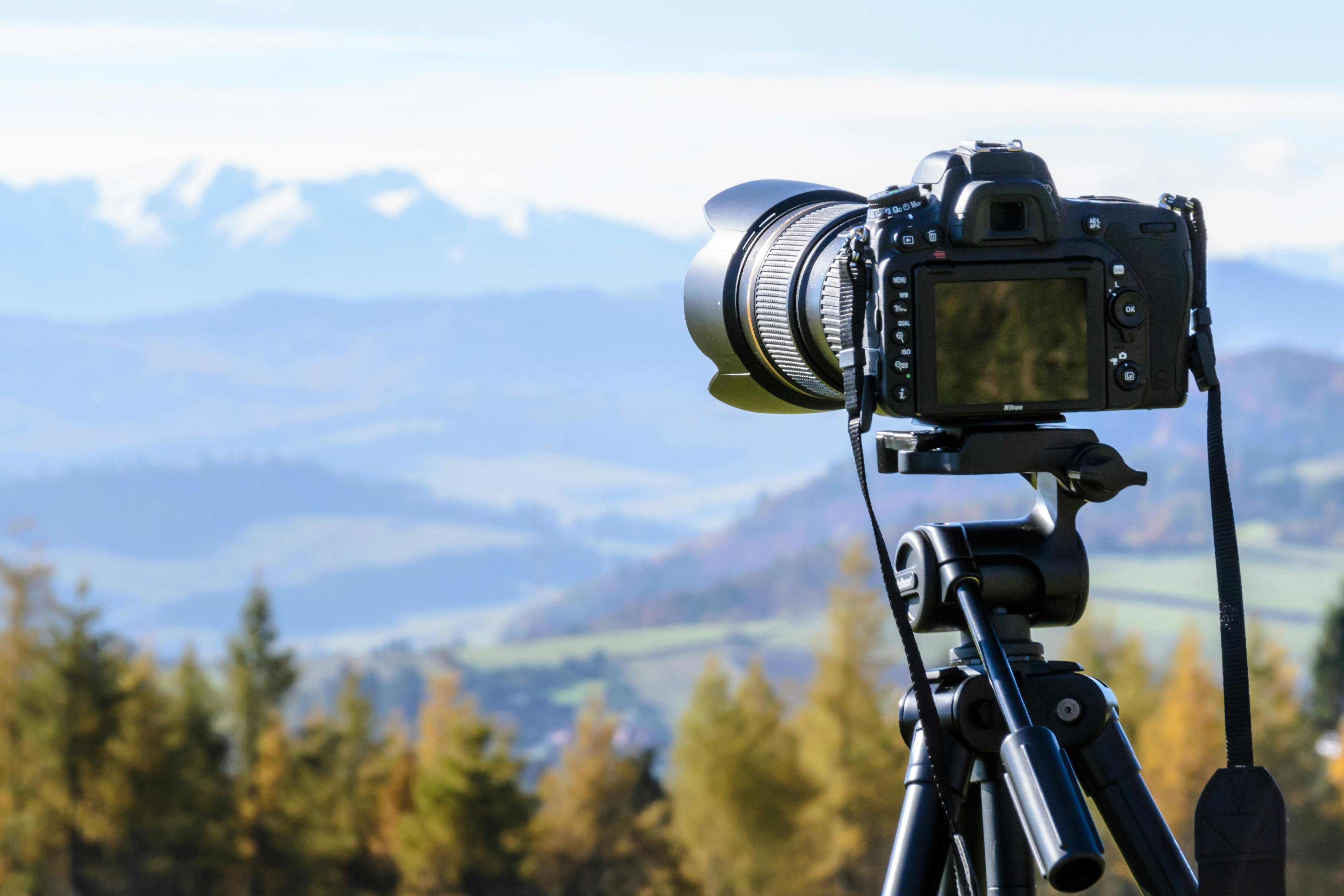 Collection of cameras