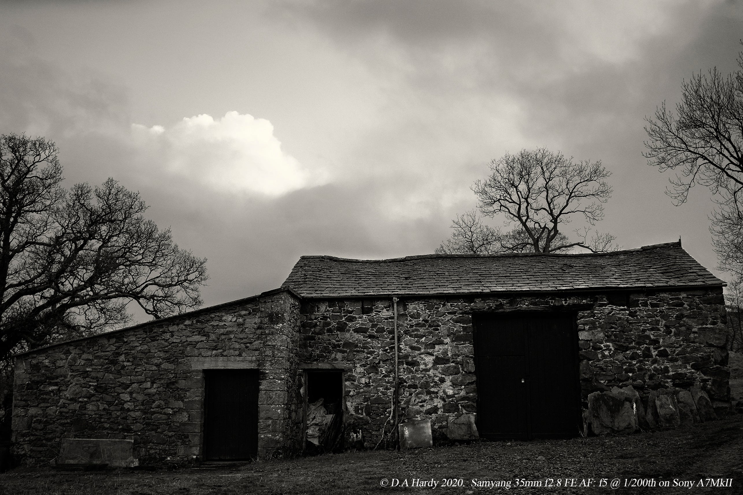 Image of outhouse black and white