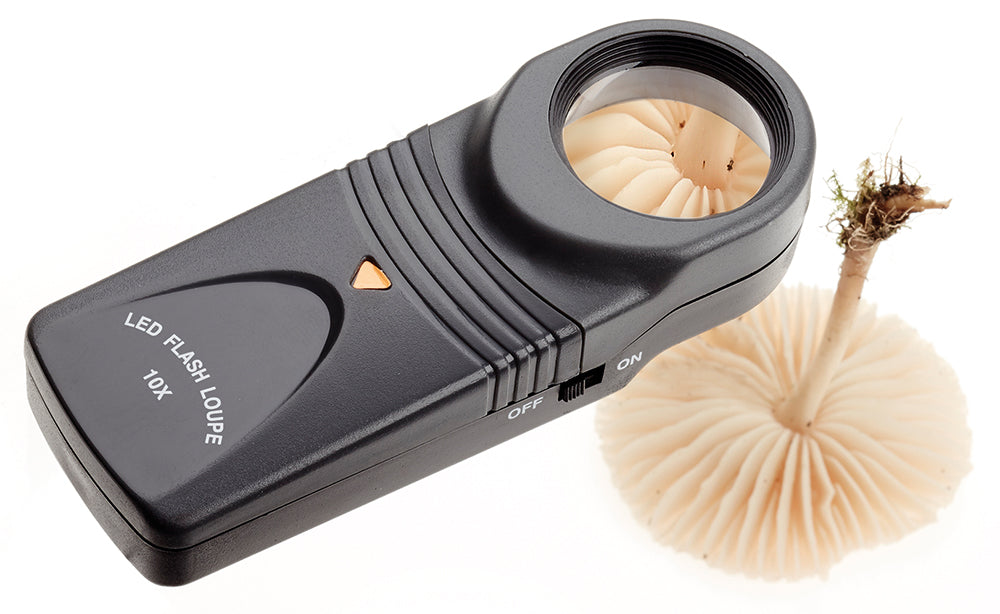 Opticron LED Hand Magnifier 10x 26mm in action
