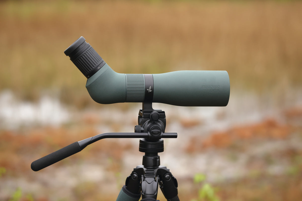 Swarovski AT Endura 21-65x75 Angled Spotting Scope