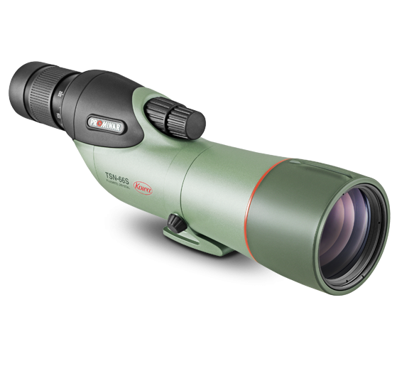 Kowa TSN-66 Prominar & 25-60x TE-11WZ II Eyepiece