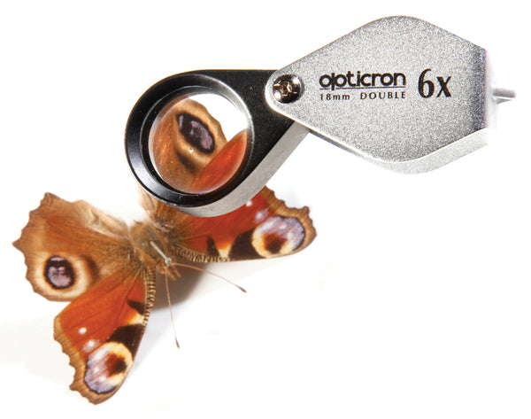 Opticron Folding Metal Loupe Magnifier 6x 18mm being used to see detail on butterfly