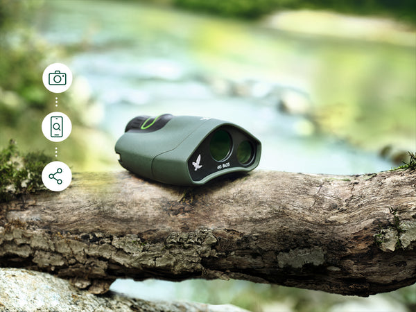 Swarovski dG Digital Guide on tree branch