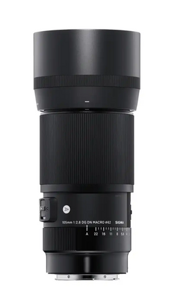 Sigma 105mm f/2.8 DG DN Art Macro Lens - Sony E