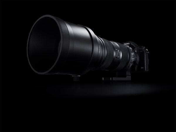 Sigma 150-600mm f/5-6.3 Sports DG OS HSM Lens & 1.4x Teleconverter