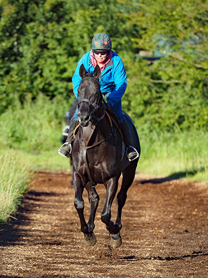 Close up of horse rider 